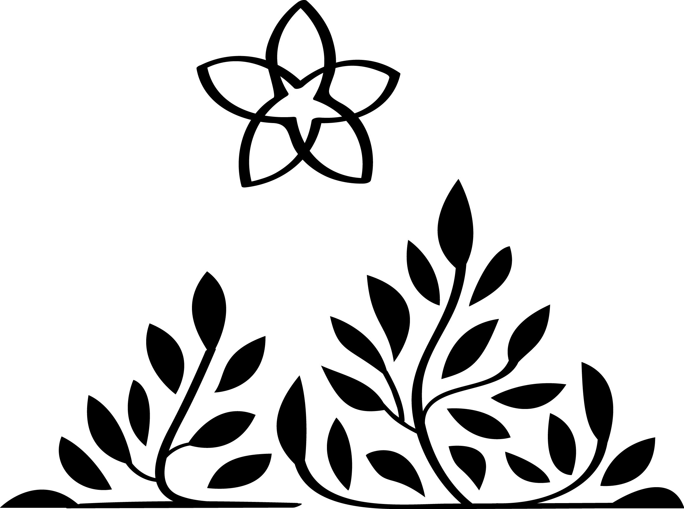         Le Souffle Des Plantes